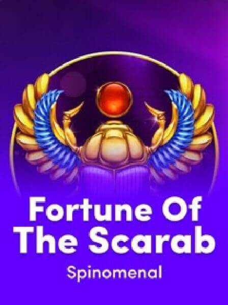 VivaLive Casino: Where Real-Time Gaming Meets Unmatched Entertainment