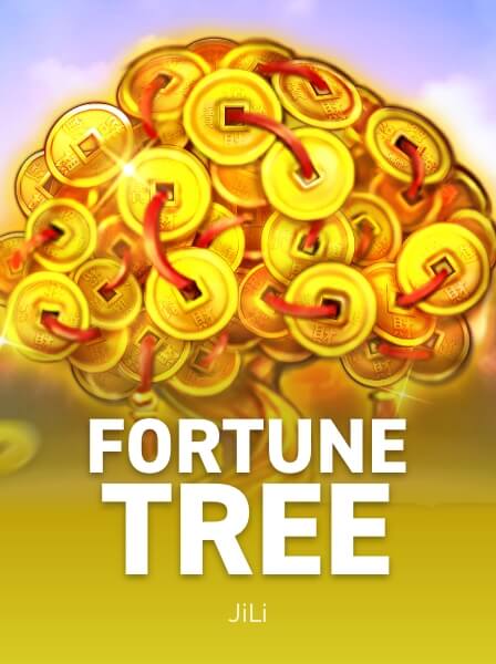 Live Dealer Games at Studio77 Casino: Real Casino Atmosphere Online