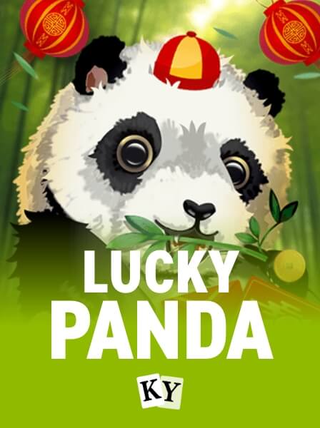 MiniCasino App: A Comprehensive Review for New Players