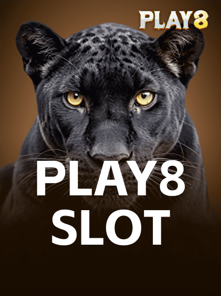 PerfectPairs BJ: Comparing Single Deck and Multi‑Deck Outcomes
